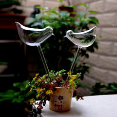 Glass Automatic Self Watering Bird Watering Cans Flowers Plant Decorative Clear Glass Watering Device Houseplant